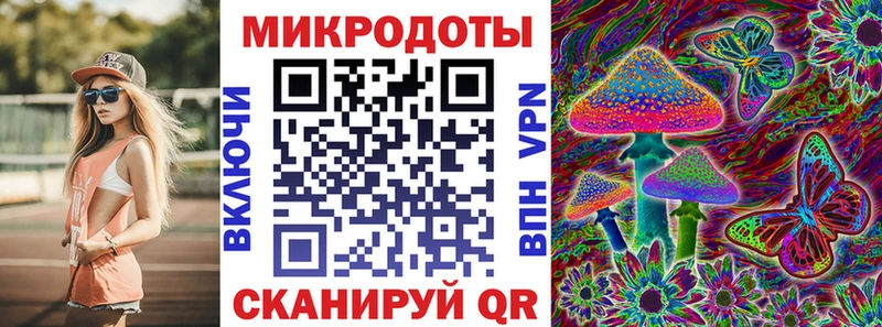 где продают наркотики Тырныауз Псилоцибиновые грибы Cubensis